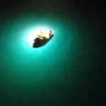 Lampara LED pesce azzurro